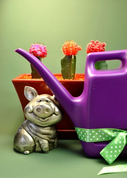 Save Water - Piggy Bank, Potted Cactus & Watering Can (Vertical) ) — стоковое фото