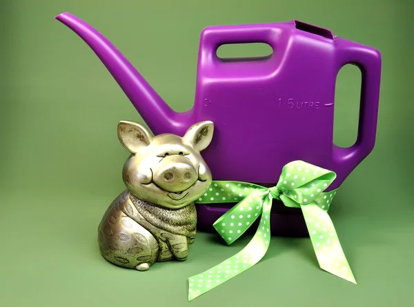 Save Water Concept with Piggy Bank and Watering Can — Stock Photo, Image