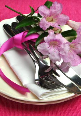 Tema yemek masası ayarı ile gümüş çatal bıçak takımı pembe (yakın)