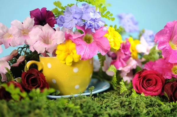 Beautiful Springtime bright colorful Spring flowers and polka dot cup. Close-up. — Stock Photo, Image