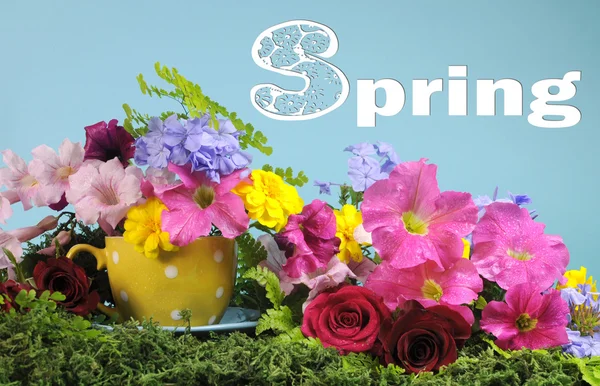 Schöne frühlingshafte helle bunte Frühlingsblumen und gepunktete Tasse. — Stockfoto