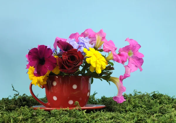 Une tasse de printemps avec de belles fleurs colorées dans une tasse à pois rouges — Photo