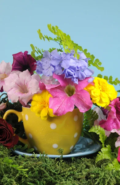 Beautiful Springtime bright colorful Spring flowers and polka dot cup. — Stock Photo, Image