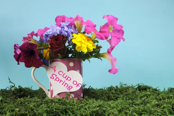 Uma xícara de primavera com belas flores coloridas em uma caneca de bolinhas rosa — Fotografia de Stock