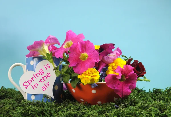 Spring is in the Air polka dot mug and bowl full in a springtime setting. — Stock Photo, Image