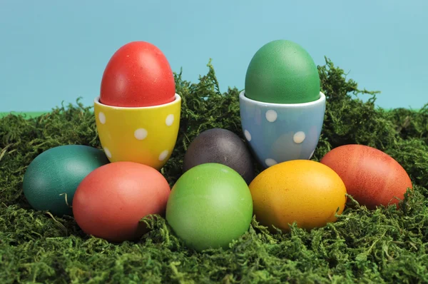 Happy Easter rainbow colored eggs in blue and yellow polka dot cups on grass — Stock Photo, Image