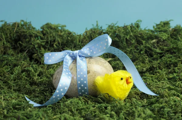 Easter marble egg with blue polka dot bow and yellow chick on grass moss — Stock Photo, Image