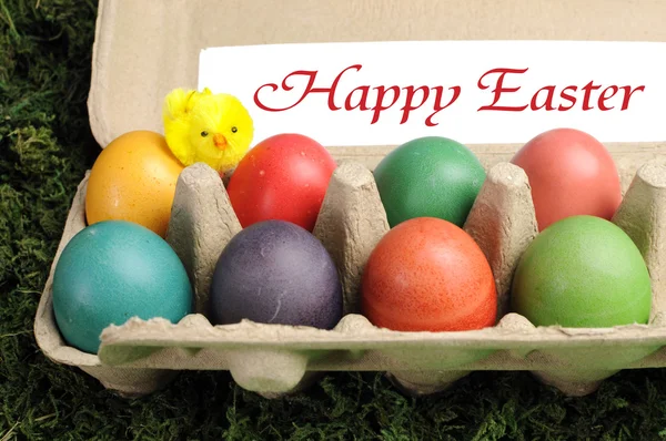 Happy Easter rainbow colored eggs in egg carton. — Stock Photo, Image