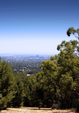 3D estanterías vacías para exhibiciónyerli Avustralya ağaçları ile çerçeveli adelaide şehir manzaralı muhteşem views