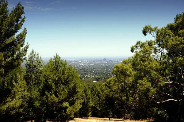 Vistas espetaculares com vista para a cidade de Adelaide emoldurada por árvores nativas australianas — Fotografia de Stock