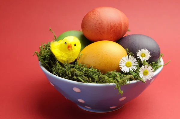 Happy Easter still life with colorful eggs on red background. — Stock Photo, Image