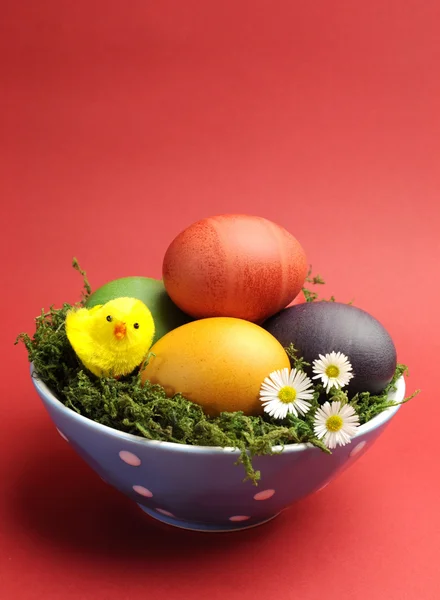 Happy Easter still life with colorful eggs on red background. — Stock Photo, Image