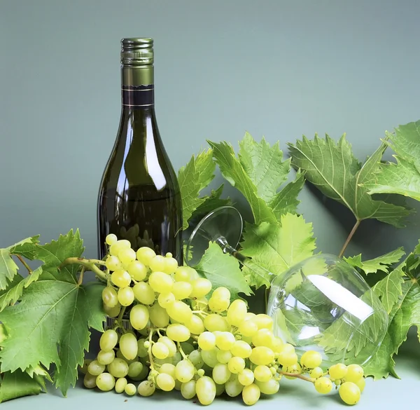 Bouteille de vin blanc, verre à vin avec raisins frais et vignes . — Photo