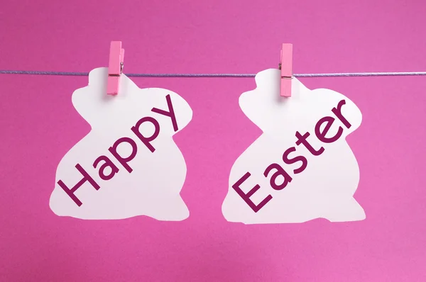 Pink theme two bunny rabbit shape Happy Easter cards hanging from a line — Stock Photo, Image