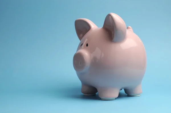 Pretty pink piggy bank against a blue background for Savings and Shopping Sale concept. — Stock Photo, Image