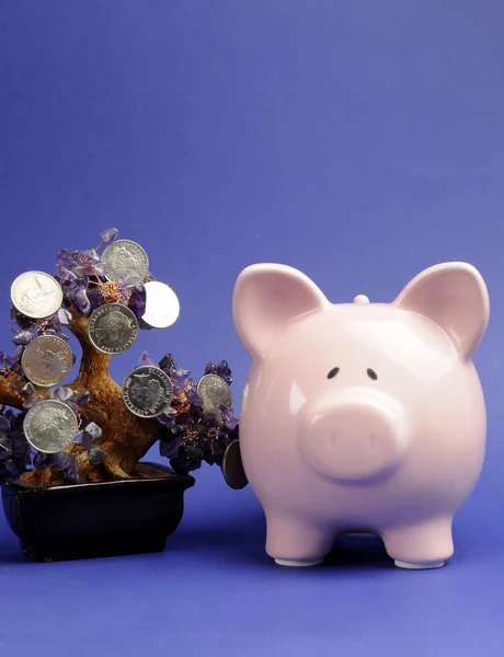 Pengar träd och besparingar koncept med mynt hängande från ett crystal träd med piggy bank mot en blå bakgrund. — Stockfoto