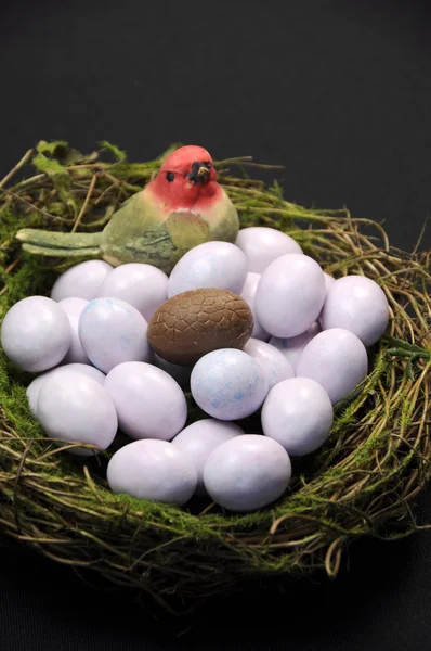 One chocolate Easter egg in bird's nest with sugar coated candy marble eggs. Vertical. — Stock Photo, Image