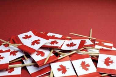Kanada maple leaf bayrakları arka plan