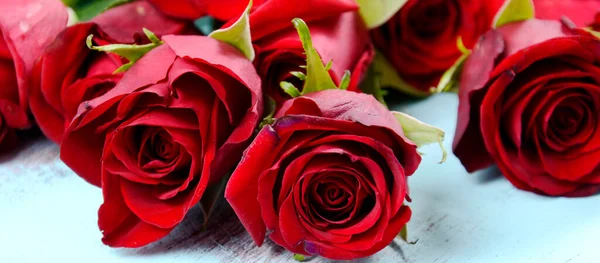 Valentijnsdag rode rozen banner Stockfoto