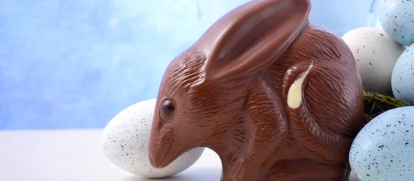 Australian Chocolate Easter Bilby banner with copy space. — Stock Photo, Image