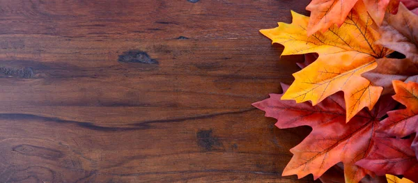 Jesienny sztandar jesienny — Zdjęcie stockowe