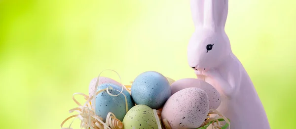 Easter Bunny with Bucket of Eggs Banner — Stock Photo, Image