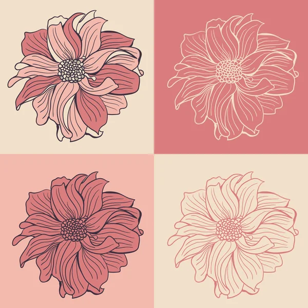 Hand-drawn flowers of dahlia — Stock Vector