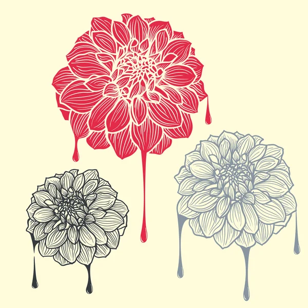 Handgezeichnete Dahlienblüten — Stockvektor