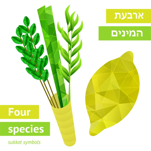 Símbolos sukkot — Vetor de Stock