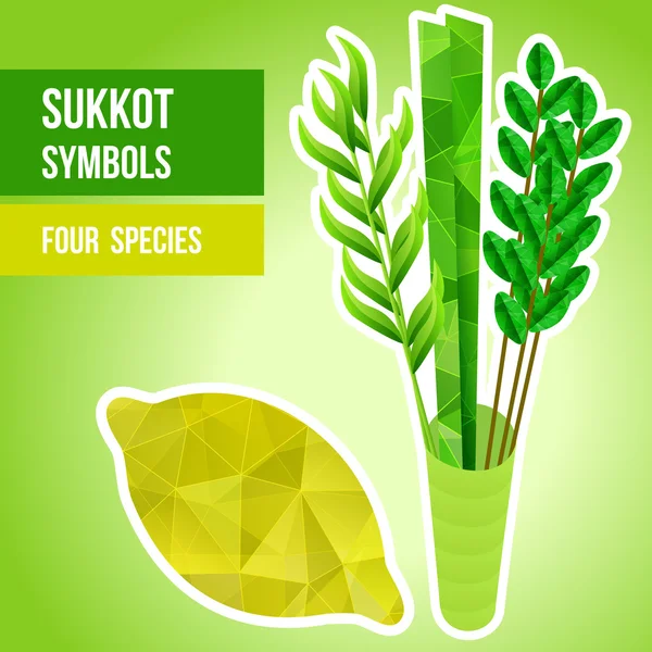 Símbolos Sukkot — Archivo Imágenes Vectoriales