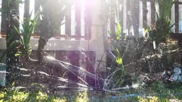 Hose Spins While Water Spreading Watering Trees Sunlight — Stock Video