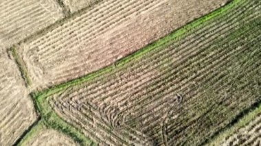 Moving camera, The tracks of the tractor prepare the soil for planting crops. large acres to grow crops in the next season.