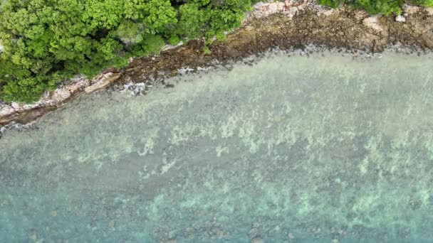 俯瞰清澈的海水可以看到海底的珊瑚 海浪轻柔地冲击着海岸 阳光照射在岸边 — 图库视频影像