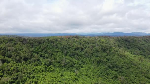 Muoversi Montagne Fotocamera Sono Pieni Foreste Verdi Che Sono Naturali — Video Stock