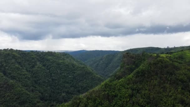 Góry Top View Wypełnione Zielonymi Lasami Które Naturalne Bogate Bujne — Wideo stockowe