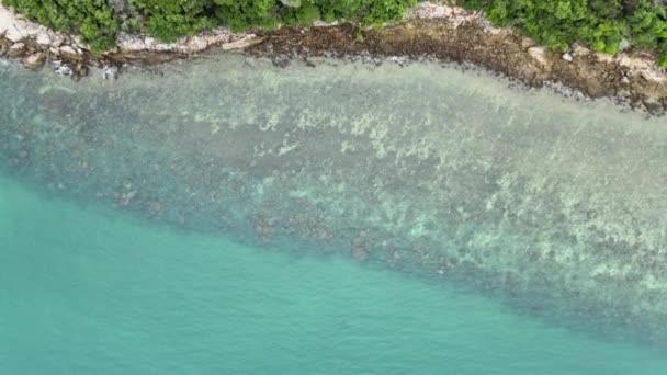 Von Oben Kann Klares Meerwasser Korallen Unter Dem Meer Sehen — Stockvideo