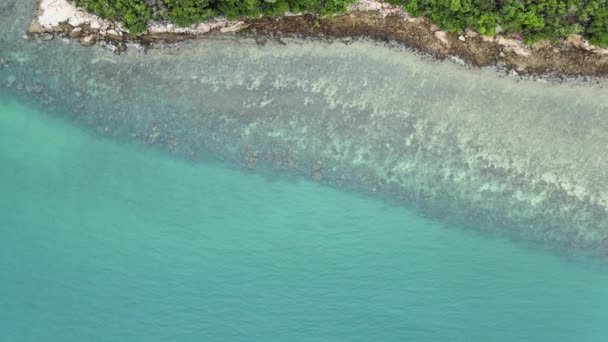 Вид Зверху Чиста Морська Вода Може Бачити Корали Під Морем — стокове відео