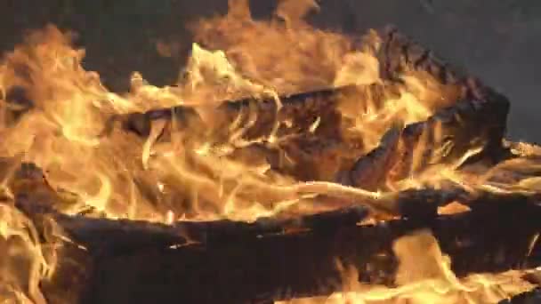 Φλόγες Καίνε Φωτιά Μοτίβο Της Φωτιάς Κινείται Στον Άνεμο — Αρχείο Βίντεο