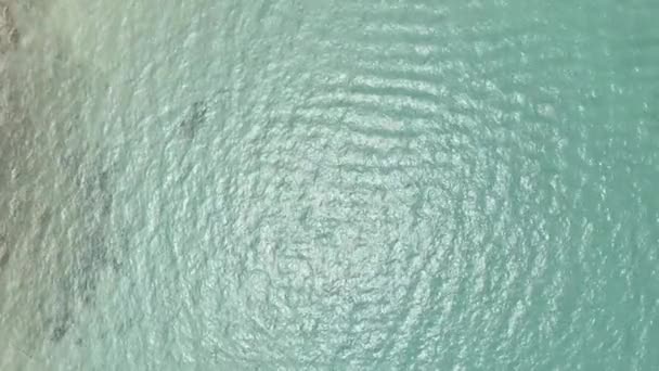 Vue Dessus Eau Mer Claire Peut Voir Les Coraux Sous — Video