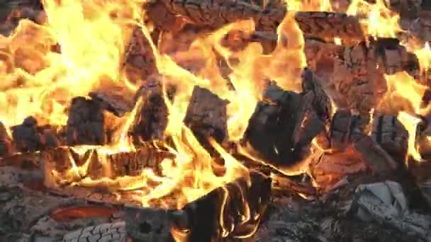 Sıcak Alevler Şenlik Ateşini Yakıyor Ateş Deseni Rüzgarda Hareket Ediyor — Stok video