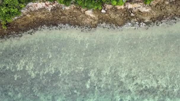 Ovanifrån Klart Havsvatten Kan Koraller Havet Vågorna Träffade Stranden Försiktigt — Stockvideo