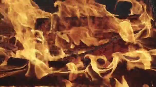 Gorące Płomienie Palą Ognisko Wzór Ognia Porusza Się Wietrze — Wideo stockowe