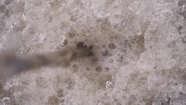 Buza Kola Dökerken Meşrubat Kabarcığı Oluşur Soda Dökülürken Buz Eriyor — Stok video
