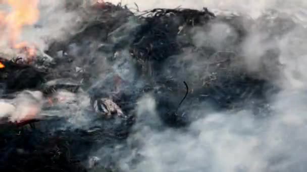 Fumée Après Extinction Incendie Avait Des Cendres Noires Après Extinction — Video