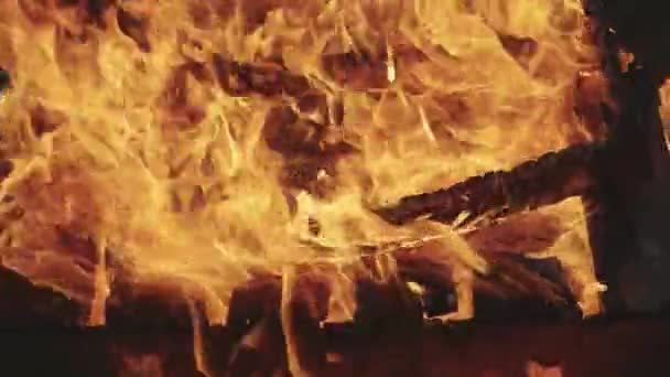 熱い炎がたき火を燃やしている 風による火の動きのパターン — ストック動画
