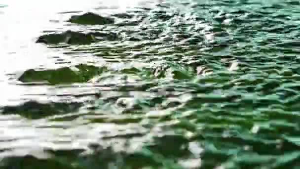 水面に水が流れている 水の流れとパターン — ストック動画