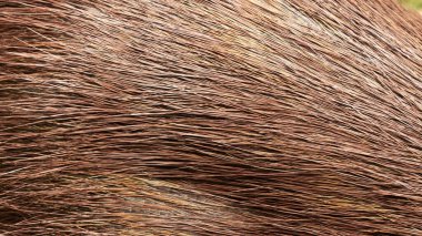 Dokuma dondurmalı çikolata, Top view yiyecek konsepti, tasarım için boşluk..