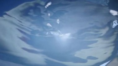 Hidroponik sebze yetiştirmek için çözeltiyi karıştır. Hidroponik sebzeler için.