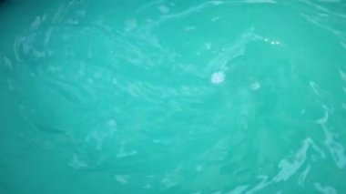 Hidroponik sebze yetiştirmek için çözeltideki ilk adım. Hidroponik sebzeler için.