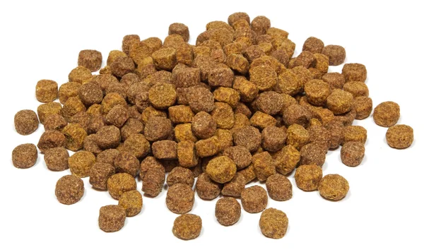 Dry dog food — Stock Photo, Image